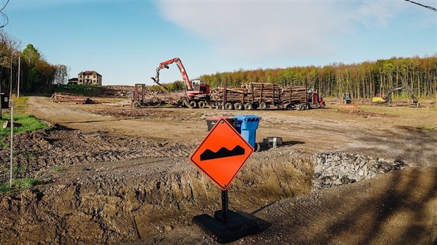 Dossier coupe à blanc: la Cour reconduit l’injonction