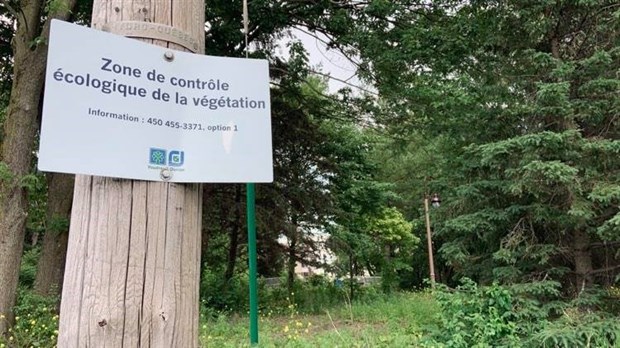 Des terrains qui sont tout le contraire d’abandonnés 