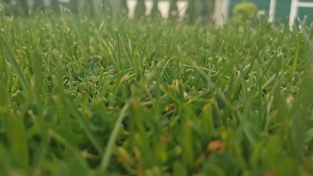 Aucun permis d'arrosage pour les Perrotdamois