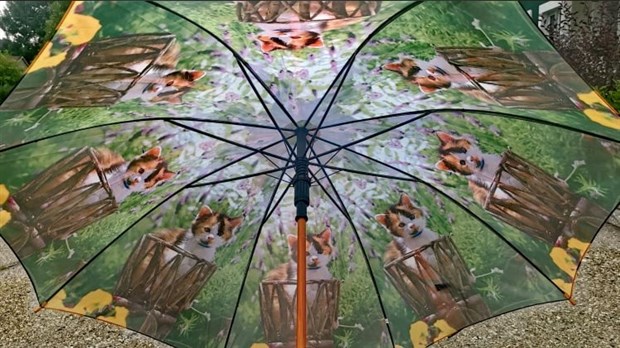 Des orages violents pourraient déferler sur la région dans les prochaines heures 