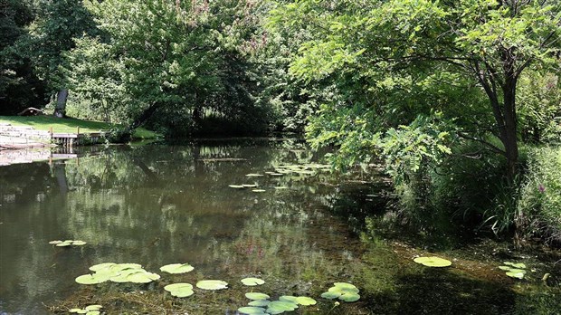 La complexité de l’entretien des canaux de Rivière-Beaudette