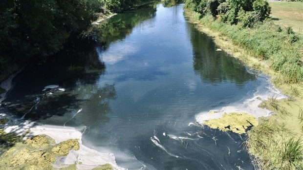 Un déversement « présumé » dans la rivière Rigaud