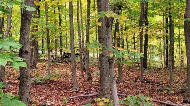 Ajout de 18 hectares protégés sur le mont Rigaud 