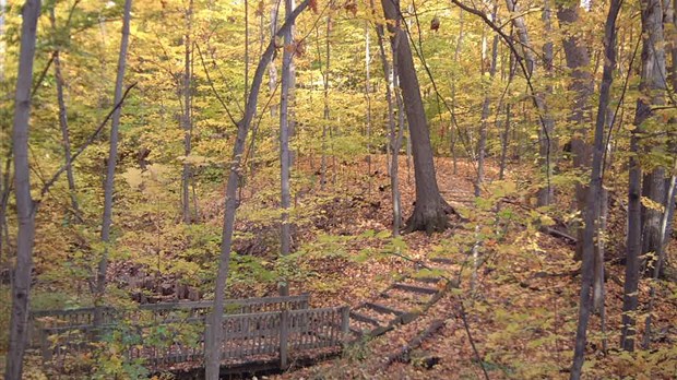 Vivez la saison des couleurs dans Beauharnois-Salaberry