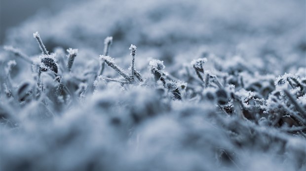 La région recevra ses premiers flocons cette semaine