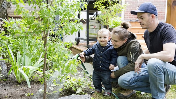 Votre arbre à mini prix jusqu'au 30 mai à Pincourt