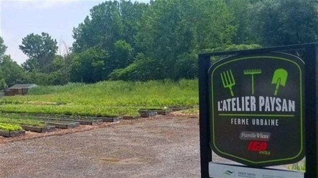 Fonds communautaire Écoprojets: trois initiatives verront le jour à Vaudreuil-Dorion
