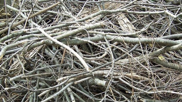 Collecte de branches à venir à Rigaud en août 