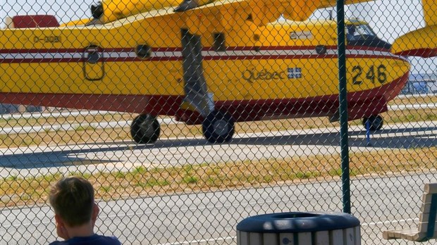 Les forêts du Québec ont peu souffert des feux cet été, grâce à des pluies régulières