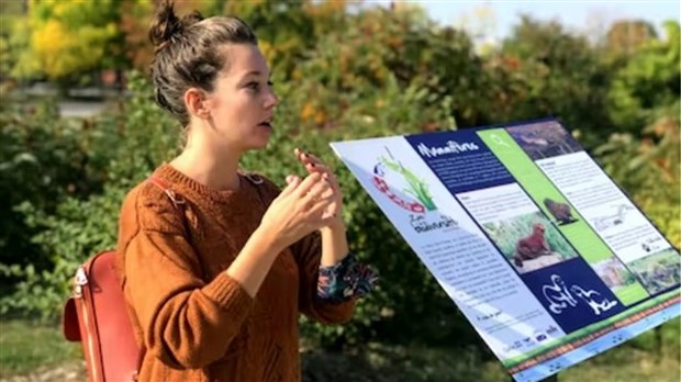 La création d'aménagements florissants et la tourbe biodiversité à découvrir demain 