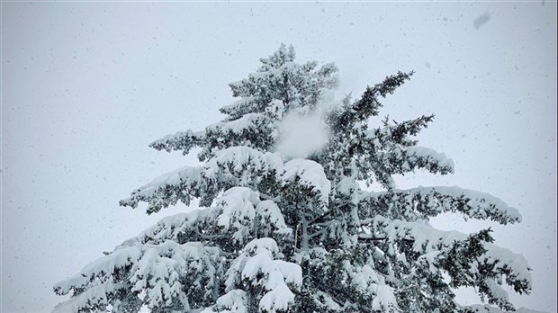 Entre 15 et 25 centimètres de neige attendus cette semaine 