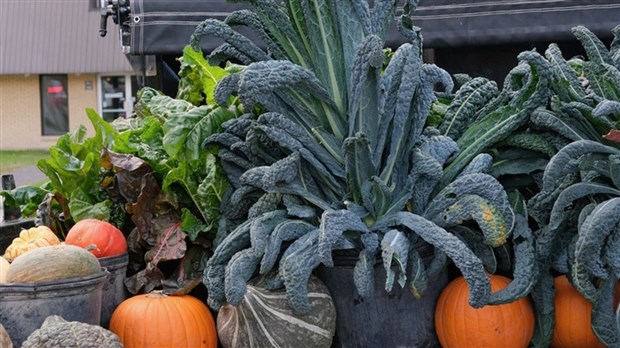 Faites le plein de plantes ornementales et comestibles le 4 novembre à Saint-Lazare 