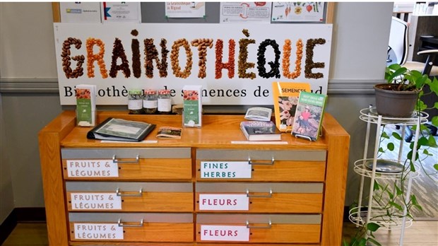 La Grainothèque de Rigaud à la recherche de semences 