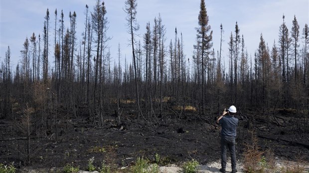 Sondage: les Québécois craignent la crise climatique et veulent plus d'actions