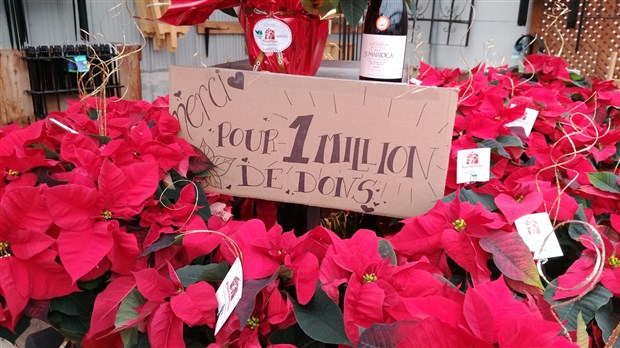 Poinsettias: plus de 95 000$ amassés pour la Maison de soins palliatifs de Vaudreuil-Soulanges 