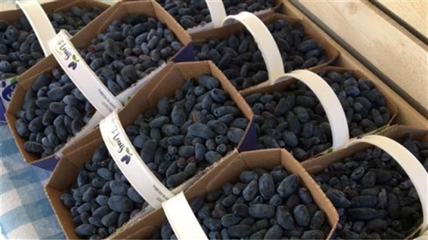 Une entreprise de Saint-Louis-de-Gonzague participera au marché des Saveurs de l'île 