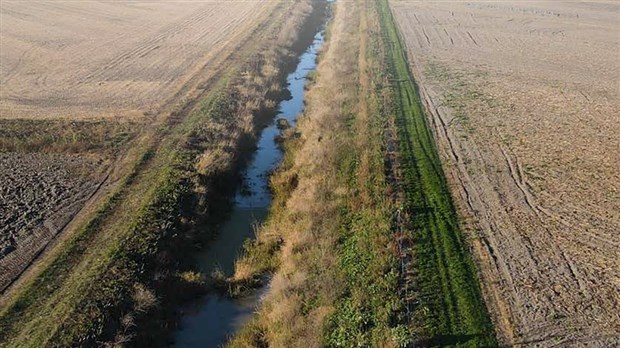 Distribution gratuite de semences aux agriculteurs
