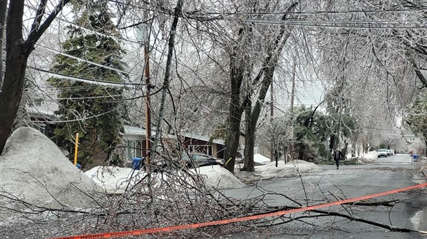 Ramassage de branches en cours sur le territoire de Vaudreuil-Dorion