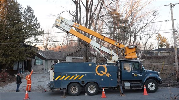 « Vous voyez les branches? Chaque branche est une panne », un monteur de lignes chez Hydro-Québec