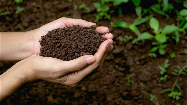Distribution gratuite de compost à Beauharnois en mai 