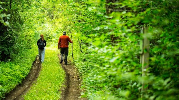 Parc nature: Notre-Dame-de-l'Île-Perrot tiendra une séance d'information