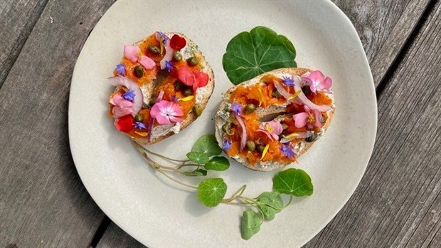 Découvrez les fleurs comestibles
