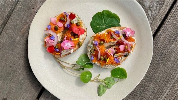 Discover the edible flowers
