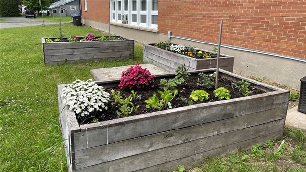 Fines herbes et légumes en libre-service à Très-Saint-Rédempteur
