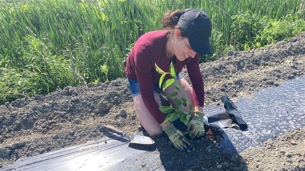 Près de 22 hectares de terres agricoles aménagés en 2023 en Montérégie