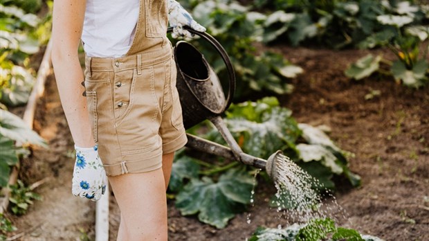 Inscrivez-vous au concours d'aménagements écologiques à Saint-Lazare