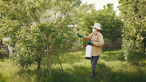 Pesticides: Pincourt revoit sa règlementation