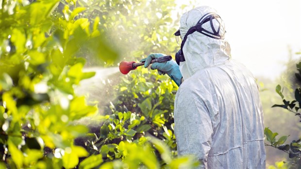 Pesticides: Pincourt revises its regulations