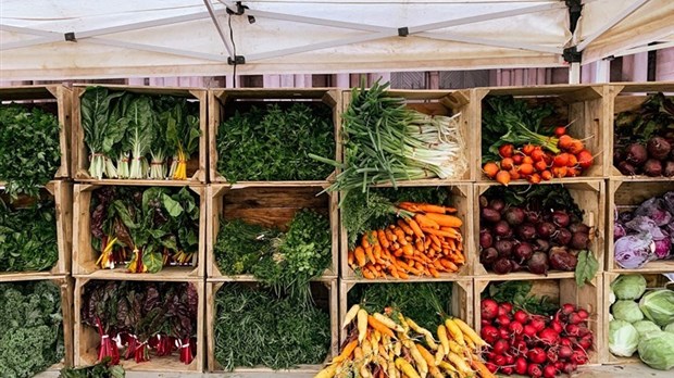 Deux activités spéciales au Marché des saveurs de l’île cette semaine 