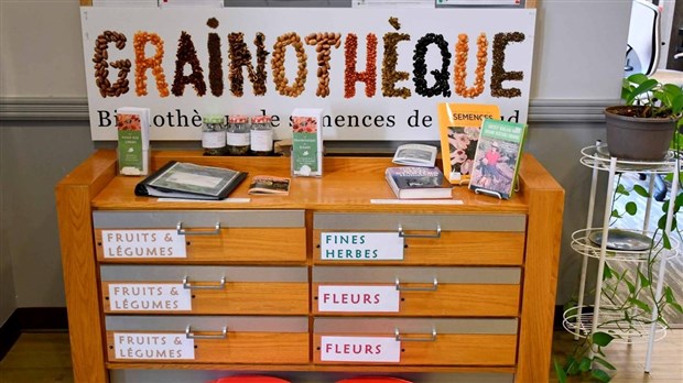 Appel de dons pour la Grainothèque de Rigaud 