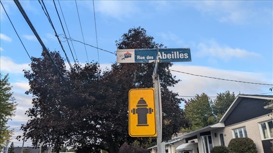 Coteau-du-Lac to invest over $1 million in the rehabilitation of three streets