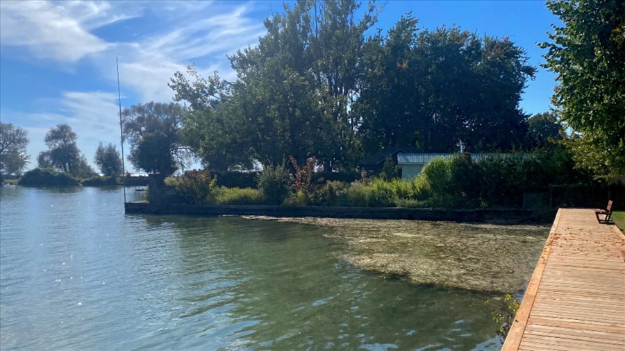 Le réaménagement de la bande riveraine du parc Wilson avance bien 