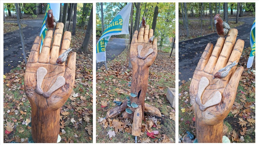 A new work of art takes root in the Forestiers-de-Saint-Lazare nature park   