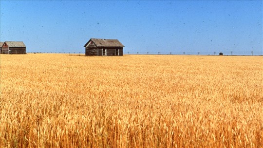 Le grand congé de l’automne