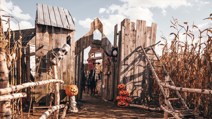 Des tonnes d’activités pour souligner l’Halloween