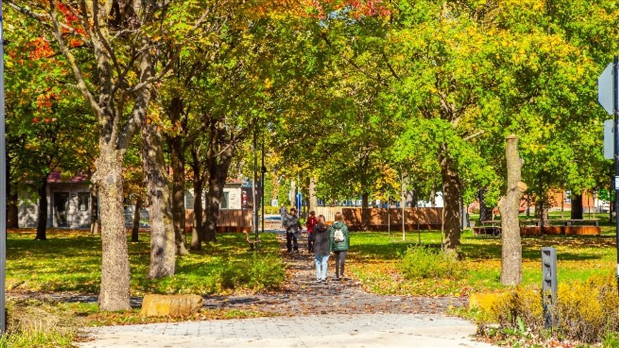 Surveillance accrue au parc Salaberry 