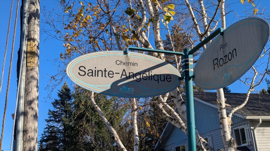 Saint-Lazare acquires two lots on Chemin Sainte-Angélique 