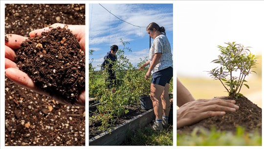 Appels pour soumissions 2025 au Fonds communautaire Écoprojets