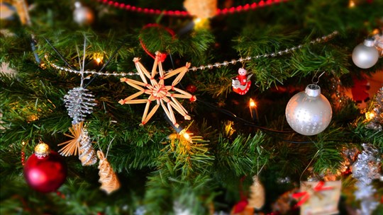 Christmas tree: natural or artificial? That's the question 