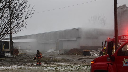 Un incendie dans une porcherie a mobilisé une cinquantaine de pompiers 