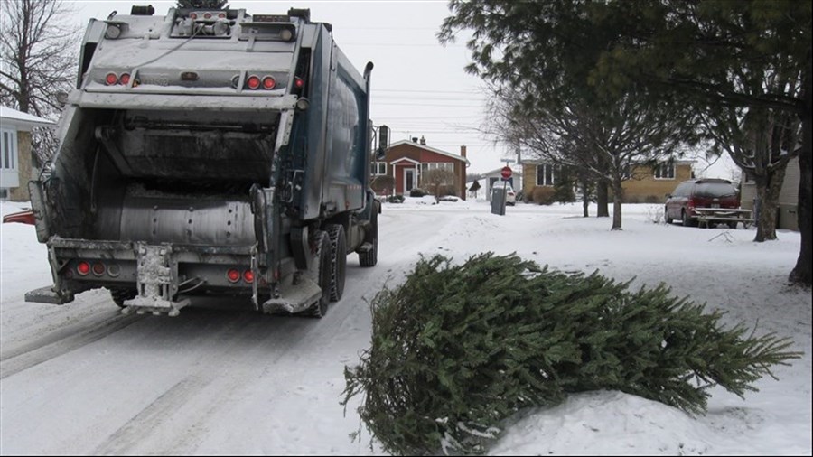 Toutes les collectes de sapin dans Vaudreuil-Soulanges