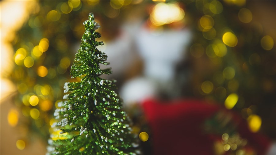 A Christmas Tradition: The Story of the Christmas Tree