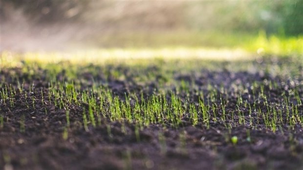 Conférence de la Société d'horticulture et d'environnement de Saint-Lazare