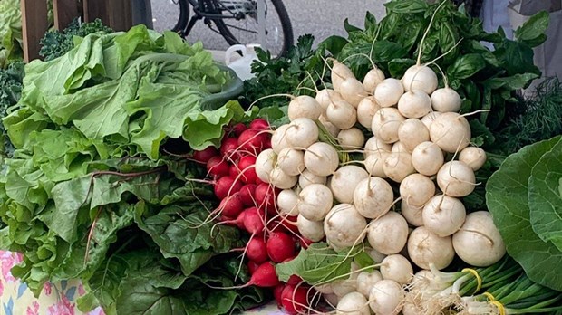 La 14e saison du Marché des saveurs de l'île Perrot est lancée