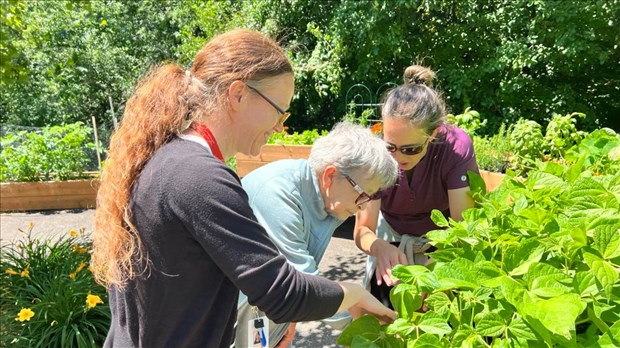 Un potager réalisé par des usagers en réadaptation