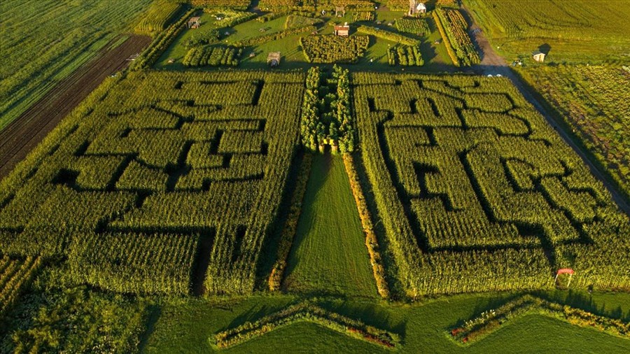 4 labyrinthes extérieurs à explorer cet automne